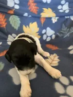 processed/a9befc57-754e-4137-8cbb-b8b26737659f/listing/e00a07ab-1b50-4590-a5ca-73dfd8f05c21/f190ec37-35a4-43b1-bea0-989191be25fc