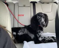 processed/a9befc57-754e-4137-8cbb-b8b26737659f/listing/ec77a8e6-59ca-4b22-8f82-f013946a65f2/15e81db1-ff51-4ca6-87d7-85cf09cea80d