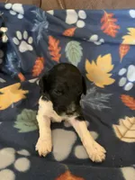 processed/a9befc57-754e-4137-8cbb-b8b26737659f/listing/ec77a8e6-59ca-4b22-8f82-f013946a65f2/255420d8-53dd-454d-8fb8-711c738015c7