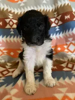 processed/a9befc57-754e-4137-8cbb-b8b26737659f/listing/ec77a8e6-59ca-4b22-8f82-f013946a65f2/4827e5af-2d9e-46cc-9c1a-da4159fb77c2