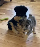 processed/a9befc57-754e-4137-8cbb-b8b26737659f/listing/ec77a8e6-59ca-4b22-8f82-f013946a65f2/55651bde-2f3d-472f-a65e-1a27dc5be97f