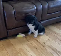 processed/a9befc57-754e-4137-8cbb-b8b26737659f/listing/ec77a8e6-59ca-4b22-8f82-f013946a65f2/5573be46-a0b9-40b7-915f-a67288b4f2d2