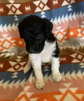 processed/a9befc57-754e-4137-8cbb-b8b26737659f/listing/ec77a8e6-59ca-4b22-8f82-f013946a65f2/76f28bd9-27da-4632-a5f3-30be8b6c741e