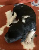 processed/a9befc57-754e-4137-8cbb-b8b26737659f/listing/ec77a8e6-59ca-4b22-8f82-f013946a65f2/c02a4d38-0360-4129-bb38-267340ecf2b7