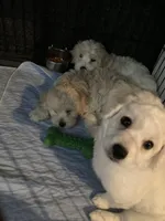 processed/a9bf884b-57dd-4d56-9c27-d3ab1ef39776/listing/d923be41-eee7-41c2-a210-bd35743ab1fd/3a389955-147b-4343-861b-acb8472e61c7