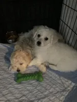 processed/a9bf884b-57dd-4d56-9c27-d3ab1ef39776/listing/d923be41-eee7-41c2-a210-bd35743ab1fd/4cf37a04-9a48-4824-8719-a7c5331cd067