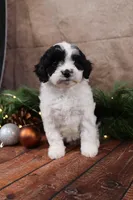 processed/a9cf7d79-01ce-4d09-ac45-91e5c6f8dc65/listing/7556fe64-c944-4f2f-bac8-83455b82b9bd/8f9865ae-1505-4b7e-aae9-9aa7db7525f1