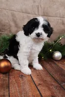 processed/a9cf7d79-01ce-4d09-ac45-91e5c6f8dc65/listing/7556fe64-c944-4f2f-bac8-83455b82b9bd/c1d932f1-544f-4404-90a8-2af00055eb52