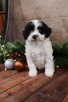 processed/a9cf7d79-01ce-4d09-ac45-91e5c6f8dc65/listing/7556fe64-c944-4f2f-bac8-83455b82b9bd/c3462c2f-6700-4292-b840-78584594b0ca