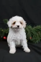 processed/a9cf7d79-01ce-4d09-ac45-91e5c6f8dc65/listing/8931fa08-8ba8-4e3e-93a8-0624c85d1587/0f18ab33-ad74-4399-ac35-4be1aa687cb8