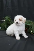 processed/a9cf7d79-01ce-4d09-ac45-91e5c6f8dc65/listing/8931fa08-8ba8-4e3e-93a8-0624c85d1587/37aac1f7-a788-4658-b60e-e401191e2769