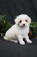 processed/a9cf7d79-01ce-4d09-ac45-91e5c6f8dc65/listing/8931fa08-8ba8-4e3e-93a8-0624c85d1587/9b13278e-e7ae-4381-bfa0-cf93c4bdded6