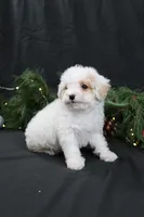 processed/a9cf7d79-01ce-4d09-ac45-91e5c6f8dc65/listing/8931fa08-8ba8-4e3e-93a8-0624c85d1587/9f71cffe-9ed2-4451-b6ea-04e9e8536811