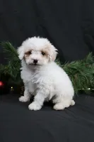 processed/a9cf7d79-01ce-4d09-ac45-91e5c6f8dc65/listing/8931fa08-8ba8-4e3e-93a8-0624c85d1587/a4121fb9-57c5-42be-9e26-24f9a6798157