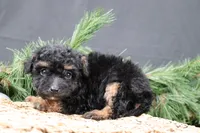 processed/a9cf7d79-01ce-4d09-ac45-91e5c6f8dc65/listing/b17c34d4-747e-499e-8e09-be0d7637d788/1be52cb7-35ba-4e34-8aa8-9a831b3bec22