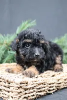 processed/a9cf7d79-01ce-4d09-ac45-91e5c6f8dc65/listing/b17c34d4-747e-499e-8e09-be0d7637d788/5a94721c-11f6-4e47-8623-77875a57ecd2