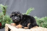 processed/a9cf7d79-01ce-4d09-ac45-91e5c6f8dc65/listing/b17c34d4-747e-499e-8e09-be0d7637d788/e0f0b9c9-eca3-4487-8c83-ae2073d8a2e5