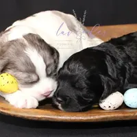 processed/a9d92dec-5a33-446c-91ba-0403c3c95f5e/facility/8031af1d-e41c-4ace-bbc9-673b127137c1