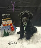 processed/a9d92dec-5a33-446c-91ba-0403c3c95f5e/listing/1f487a26-faae-4d3b-a38c-b5e51388ef16/0d0af9e7-21c7-4e64-ac40-e6a27996d709