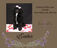 processed/a9d92dec-5a33-446c-91ba-0403c3c95f5e/listing/1f487a26-faae-4d3b-a38c-b5e51388ef16/52f1500f-e5a5-4b7a-862e-2cfd946e9cba