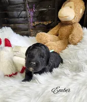 processed/a9d92dec-5a33-446c-91ba-0403c3c95f5e/listing/1f487a26-faae-4d3b-a38c-b5e51388ef16/715ad3e2-0cae-4432-8f46-50481892f6c9