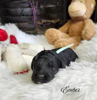 processed/a9d92dec-5a33-446c-91ba-0403c3c95f5e/listing/1f487a26-faae-4d3b-a38c-b5e51388ef16/c74f96f6-be29-4d39-be17-f18bca1d1452