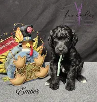 processed/a9d92dec-5a33-446c-91ba-0403c3c95f5e/listing/1f487a26-faae-4d3b-a38c-b5e51388ef16/e70719a6-f890-4db3-85c2-940e976ac9a9