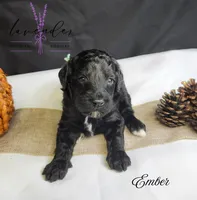 processed/a9d92dec-5a33-446c-91ba-0403c3c95f5e/listing/1f487a26-faae-4d3b-a38c-b5e51388ef16/fd067417-60ef-491e-b307-0d220de76337