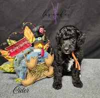 processed/a9d92dec-5a33-446c-91ba-0403c3c95f5e/listing/5834a8a1-83a0-406d-9569-6c23d7b9a860/4aa3db40-fde7-4668-bdbf-42d6c3c16976