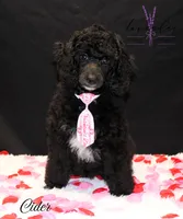 processed/a9d92dec-5a33-446c-91ba-0403c3c95f5e/listing/5834a8a1-83a0-406d-9569-6c23d7b9a860/7375399b-59ac-4c7d-a41a-edc6aa2e09f4