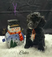 processed/a9d92dec-5a33-446c-91ba-0403c3c95f5e/listing/5834a8a1-83a0-406d-9569-6c23d7b9a860/84f19dc4-ead2-425a-8a5d-8175409063d2