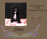 processed/a9d92dec-5a33-446c-91ba-0403c3c95f5e/listing/5834a8a1-83a0-406d-9569-6c23d7b9a860/aaec6928-17d0-4be8-9a7e-6829f5c86634