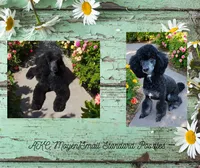 processed/a9d92dec-5a33-446c-91ba-0403c3c95f5e/listing/7603b724-cead-468b-b829-97cf8a814ca6/067de9bd-e1e8-438f-9d5d-c3b92d2fbc29