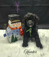 processed/a9d92dec-5a33-446c-91ba-0403c3c95f5e/listing/7603b724-cead-468b-b829-97cf8a814ca6/227f7fb5-b56b-48ac-bf76-a1874becb1e3