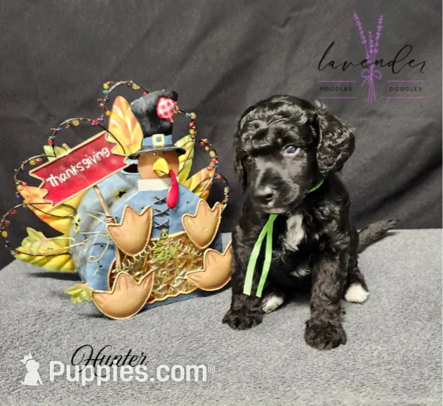 processed/a9d92dec-5a33-446c-91ba-0403c3c95f5e/listing/7603b724-cead-468b-b829-97cf8a814ca6/45d8252f-00f3-4190-8bf0-d367d1e6d4da