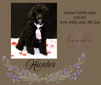 processed/a9d92dec-5a33-446c-91ba-0403c3c95f5e/listing/7603b724-cead-468b-b829-97cf8a814ca6/7e62413b-3fb4-4339-aeb9-feee003c8acd