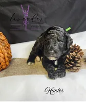 processed/a9d92dec-5a33-446c-91ba-0403c3c95f5e/listing/7603b724-cead-468b-b829-97cf8a814ca6/98b238a8-c7de-4cfb-9dd2-5a4bb3205fe8