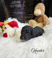 processed/a9d92dec-5a33-446c-91ba-0403c3c95f5e/listing/7603b724-cead-468b-b829-97cf8a814ca6/aeba37bd-27ad-46b7-a1e4-cd6d6f39f00a