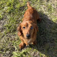 processed/a9dd4366-96ce-45df-9333-36f19b83b6c6/facility/2da8c33c-e985-46a2-bccb-998a0a978feb