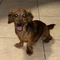 processed/a9dd4366-96ce-45df-9333-36f19b83b6c6/facility/386b16ce-e9fd-4835-a800-0651f7661514