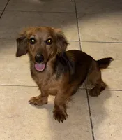 processed/a9dd4366-96ce-45df-9333-36f19b83b6c6/facility/386b16ce-e9fd-4835-a800-0651f7661514