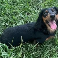 processed/a9dd4366-96ce-45df-9333-36f19b83b6c6/facility/c3995640-3c09-4c15-91a0-8c5a5c09c233