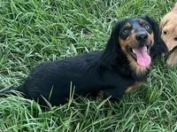 processed/a9dd4366-96ce-45df-9333-36f19b83b6c6/facility/c3995640-3c09-4c15-91a0-8c5a5c09c233