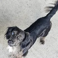 processed/a9dd4366-96ce-45df-9333-36f19b83b6c6/facility/db247d05-ddc6-4aa4-b551-6bf8e256298c