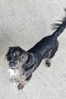 processed/a9dd4366-96ce-45df-9333-36f19b83b6c6/facility/db247d05-ddc6-4aa4-b551-6bf8e256298c