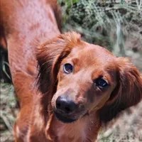 processed/a9dd4366-96ce-45df-9333-36f19b83b6c6/facility/ebd723d6-8fa3-43cc-9c92-1adef18b862b