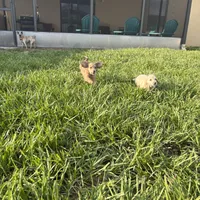 processed/a9dd4366-96ce-45df-9333-36f19b83b6c6/facility/f500f82f-8179-4013-ab37-878b429d0093