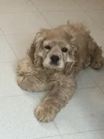 processed/a9def93e-4a34-479f-b147-1b37fd2d4ef7/listing/bf3f1bd8-ea06-4395-b9bc-ccc94df0c498/58aca01f-3fa0-4836-adcc-b47acbd58dc6