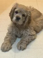 processed/a9def93e-4a34-479f-b147-1b37fd2d4ef7/listing/bf3f1bd8-ea06-4395-b9bc-ccc94df0c498/59e149eb-3999-4dd1-b487-21a6322ed21e