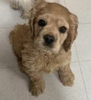 processed/a9def93e-4a34-479f-b147-1b37fd2d4ef7/listing/bf3f1bd8-ea06-4395-b9bc-ccc94df0c498/5ece09aa-4c10-484c-a4ce-153ae0a82ad1